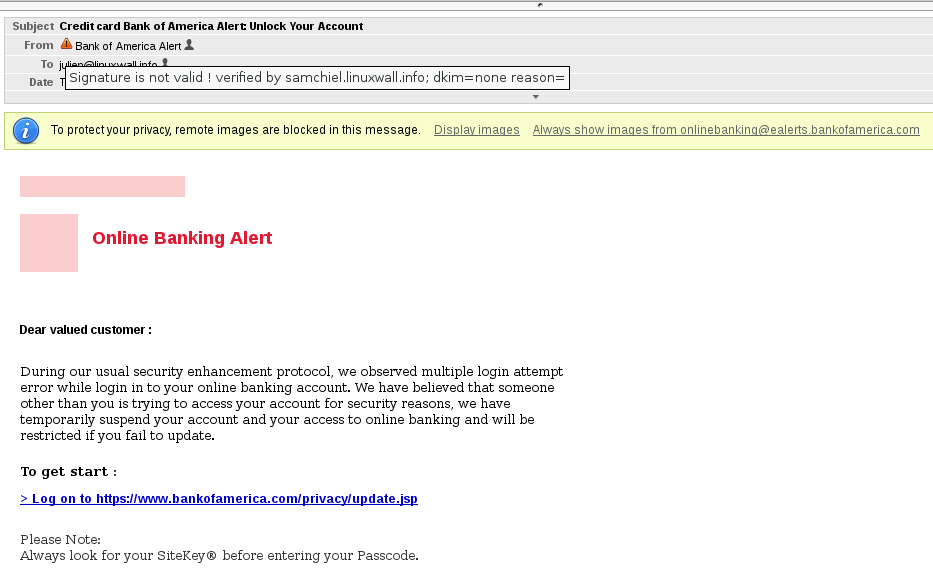 BoA-Phishing-20130611.png